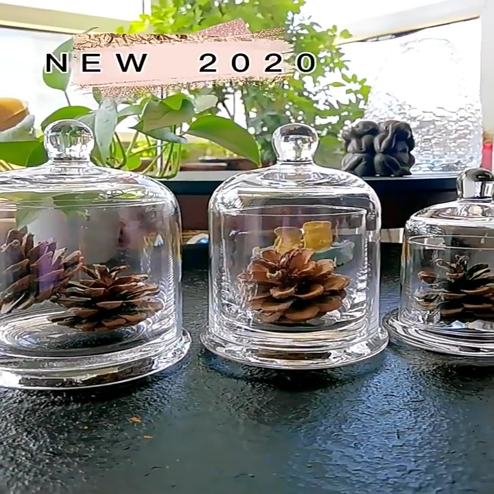 Food Storage Plant - Cam Saklama Kavanozu Ebedi Çiçek 8