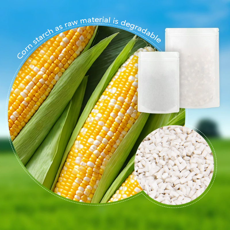 Özelleştirilmiş Biyobozunur Kr - Food Storage Plant incelemesi ve fiyatı